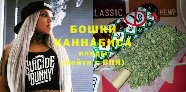 шишки Магадан