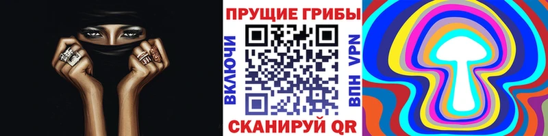 Галлюциногенные грибы Psilocybine cubensis  блэк спрут ССЫЛКА  Топки  площадка состав  наркотики 