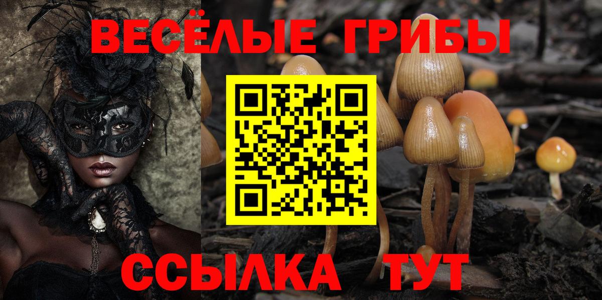 Галлюциногенные грибы Psilocybine cubensis Топки