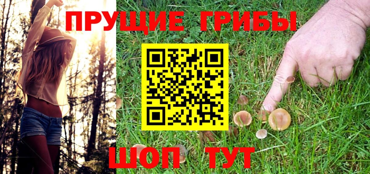 Топки  Псилоцибиновые грибы ЛСД  Вход с VPN  Псилоцибиновые грибы Psilocybine cubensis 